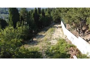 Grande terreno edificabile