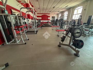 ATTIVITÀ A CASTELLEONE