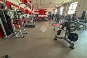 ATTIVITÀ A CASTELLEONE