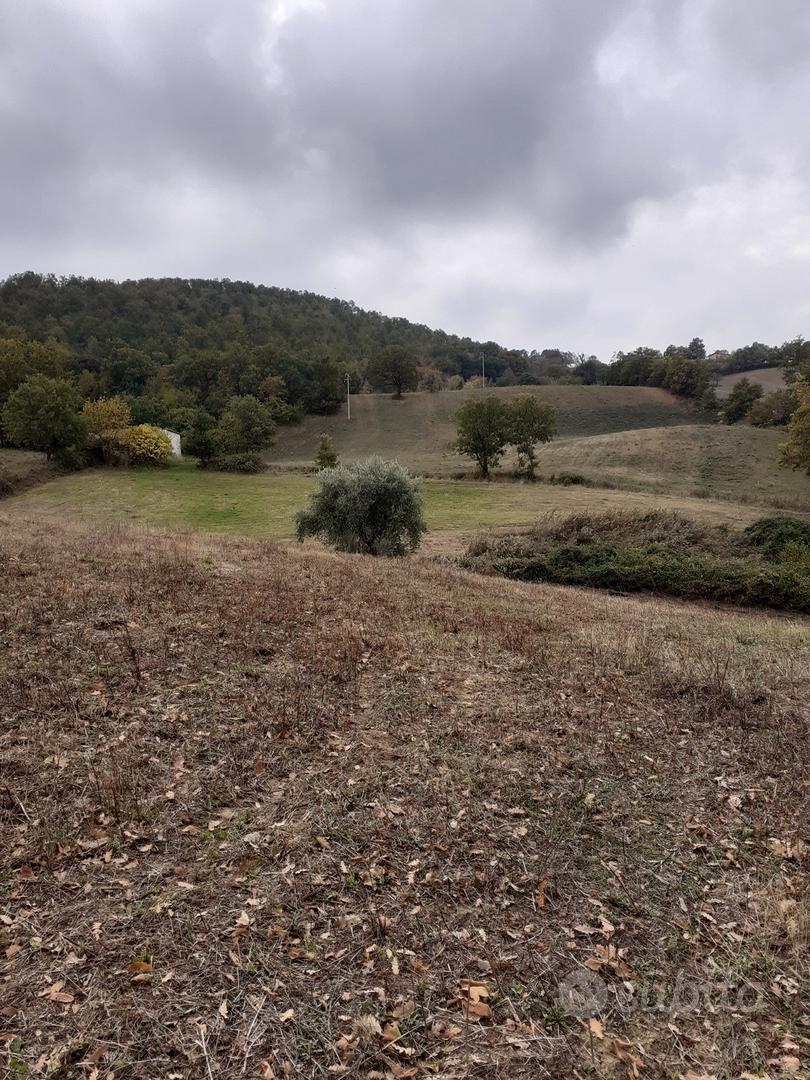 Terreni agricoli a semproniano (gr) - Vista 5