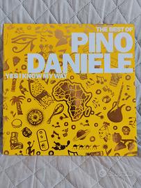 PIno Daniele :yes i know my way, GOLD COLLECTION