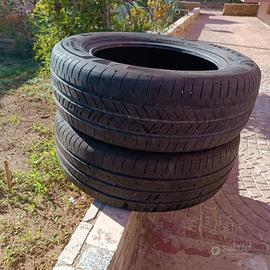 gomme estive 