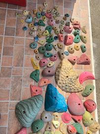 Prese arrampicata