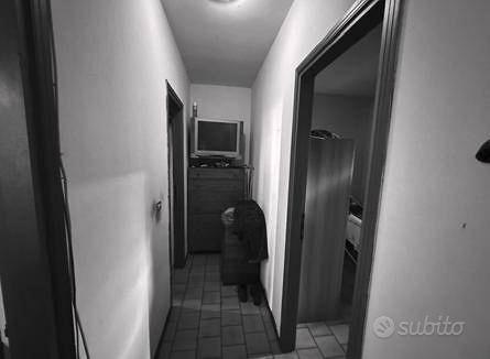 Appartamento – Zocca, La Fontana, Osteria Bassa - Vista 3