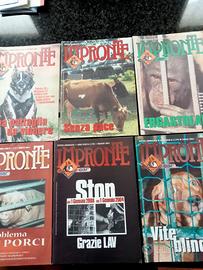 COLLEZIONE RIVISTE VINTAGE