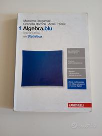 Algebra blu 1