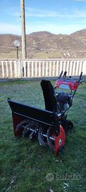 SPAZZANEVE CINGOLATO BISTADIO BRIGGS&STRATTON