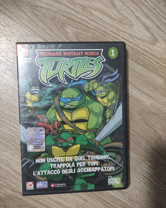 DVD Tartarughe Ninja