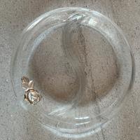 Ciotola in vetro con inserto argento