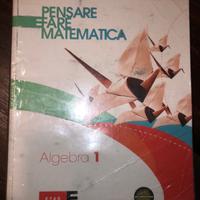 Pensare e fare matematica