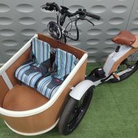 CARGO BIKE VENERE