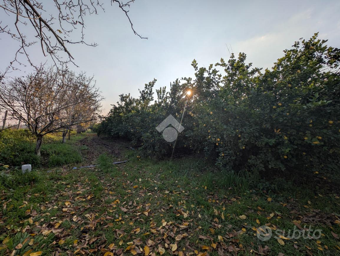 TERRENO A MADDALONI - Altro