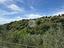 Immagine 24