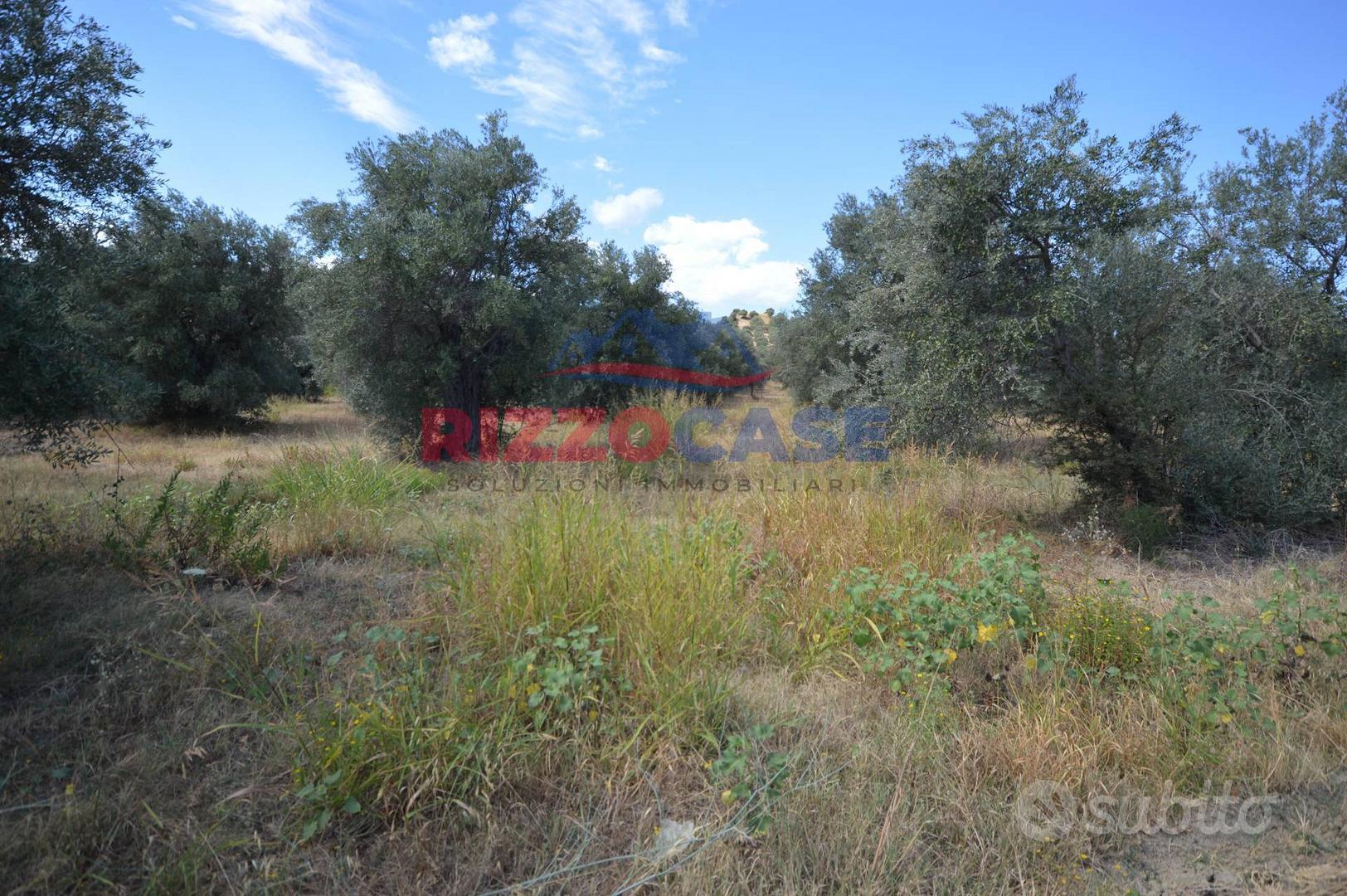 Terreno edificabile - Pietrapaola - Vista 3