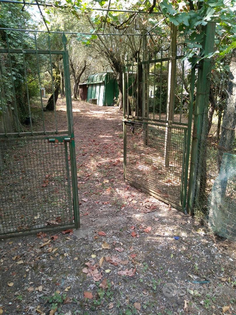Terreno Agricolo con ulivi in a 15000 - Vista 3