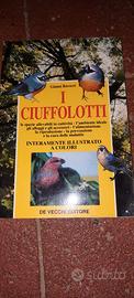 Libro I ciuffolotti