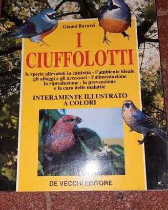 Libro I ciuffolotti