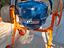 Immagine 1