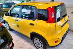Fiat Panda Pandina 1.0 65 CV Hybrid POP FINANZ.+ R