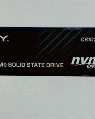 Disco PNY 500gb MVMe PCIe Gen3 x4