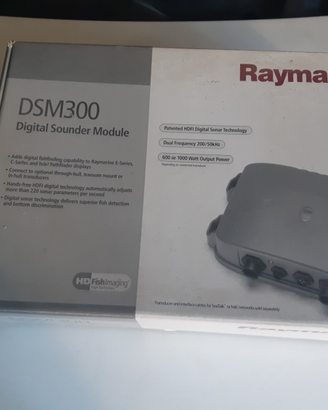 Strumentazione Raymarine gps, eco, sonda