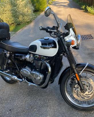 Bonneville triumph t 120 bella