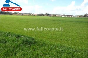 Tribunale di Salerno - RG 281/2022 Terreno in asta