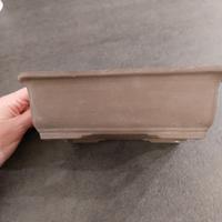 Vaso rettangolare per bonsai