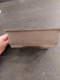 Vaso rettangolare per bonsai