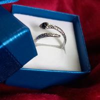 Anello serpente acciaio inox 