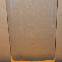 Vaso moderno in vetro robusto