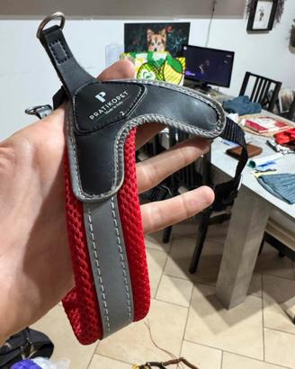 Pettorina Pratikopet