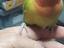 Immagine 1
