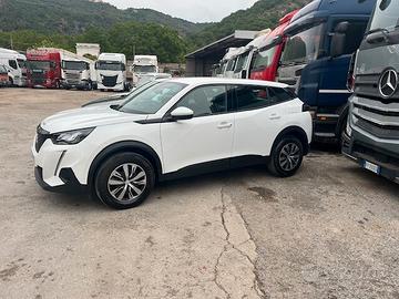 Peugeot 2008 PureTech 100 S&S Active