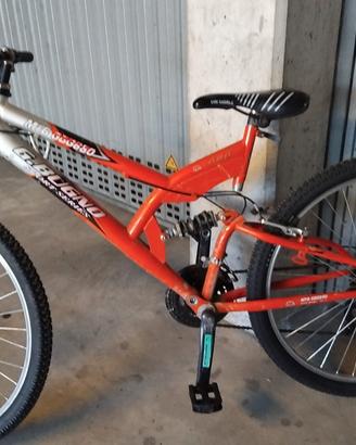 Mountain bike 