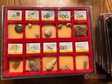 Collezione fossili DeAgostini