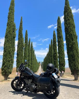 Harley Davidson low rider s