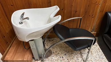 Lavatesta professionale