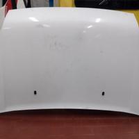 Cofano Ford Transit 2006