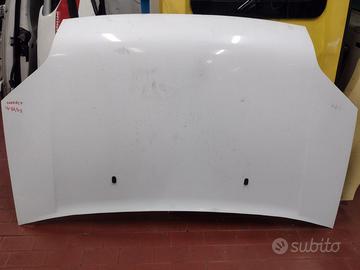 Cofano Ford Transit 2006