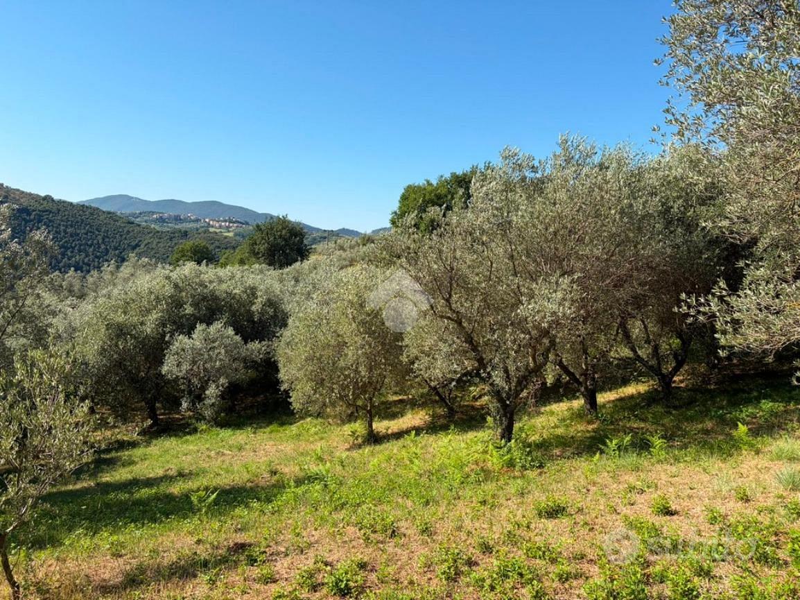 TER. AGRICOLO A SALISANO - Vista 2