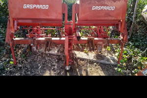 Sarchiatrice gaspardo