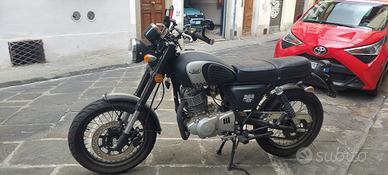 Mash 250cc