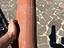 Immagine 3