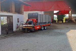 Autocaricante