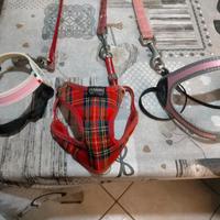 guinzagli con pettorina per cani XS più mangiatoia