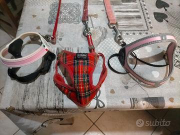 guinzagli con pettorina per cani XS più mangiatoia
