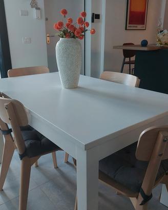 tavolo e sedie ikea