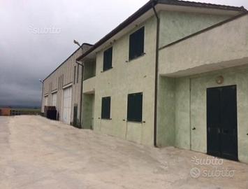 Capannone e uffici in zona industriale