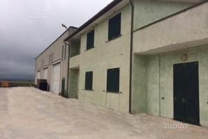 Capannone e uffici in zona industriale